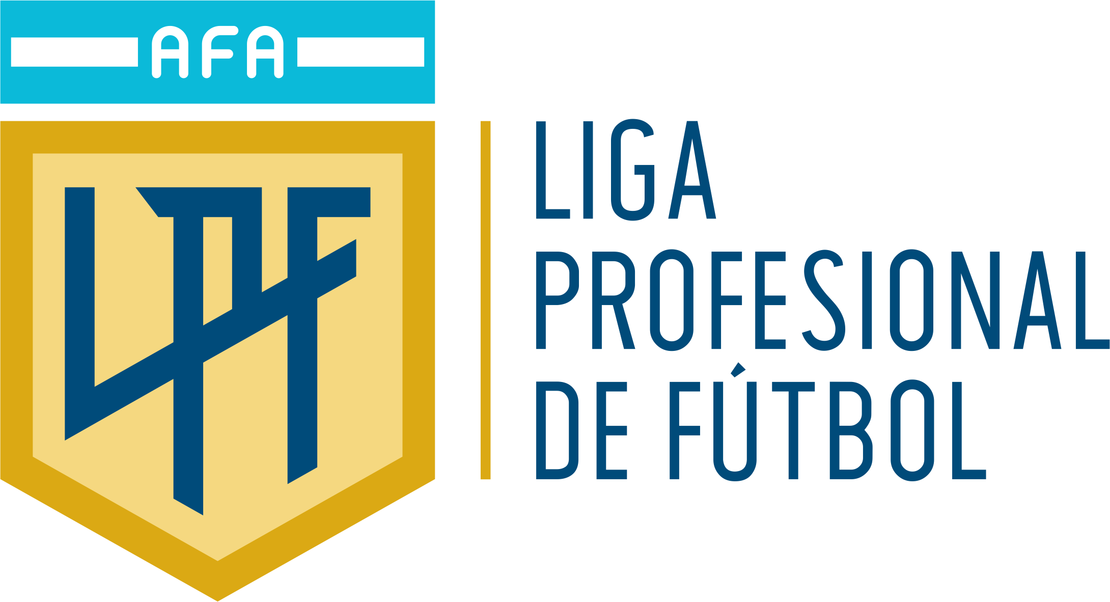 Ligas profesionales de futbol